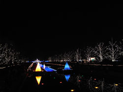 昭和記念公園のイルミネーション