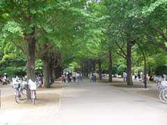 光が丘公園