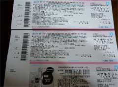 2006年国営昭和記念公園花火大会チケット