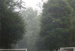 大雨