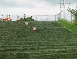 小金井公園