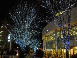 クリスマスツリーイルミネーション
