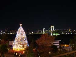 クリスマスツリーイルミネーション