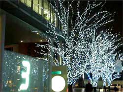 クリスマスイルミネーション