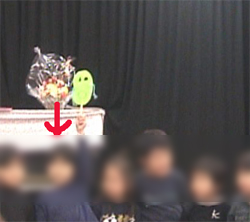 保育園のお楽しみ会