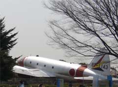 所沢航空記念公園花見