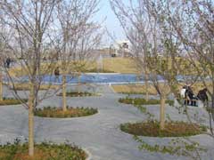 幕張さくら広場
