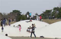 昭和記念公園フワフワドーム