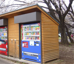 航空公園のお花見