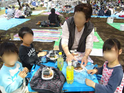小金井公園お花見