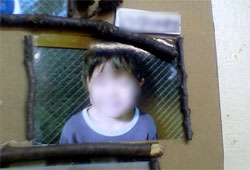 　写真
