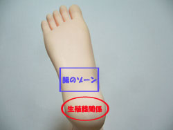 リフレクソロジー