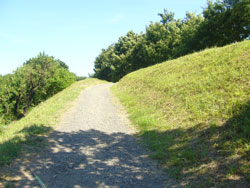 小金井公園