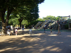 小金井公園