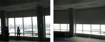 ザ冒険王2007