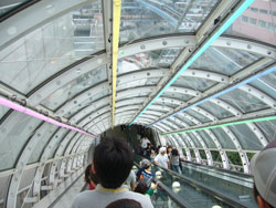 ザ冒険王2007