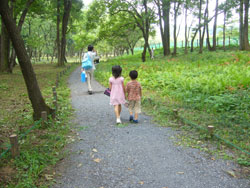 巾着田