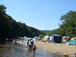 巾着田