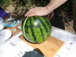 巾着田