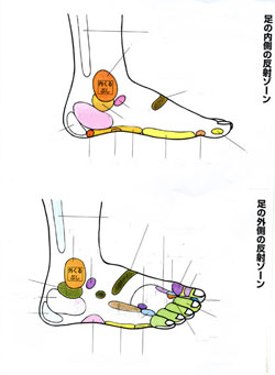 スタジオアリス