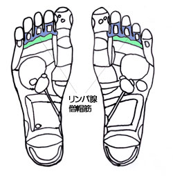 リフレクソロジースクール22回目