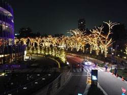 東京ミッドタウンのイルミネーション