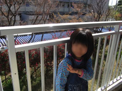入学　桜