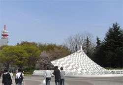 お花見in所沢航空記念公園