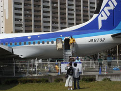 お花見in所沢航空記念公園