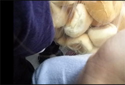 コストコ入間倉庫店