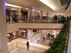 オープンしたてのららぽーとTOKYO-BAY南館