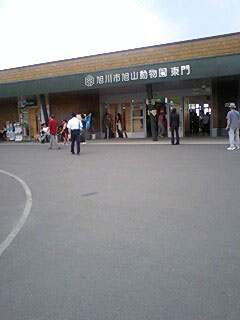 旭山動物園