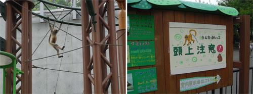 旭山動物園