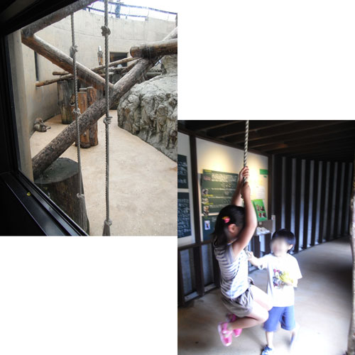 旭山動物園