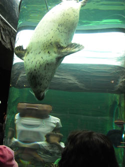 旭山動物園