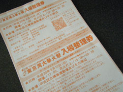 東京湾大華火祭2008