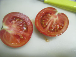 トマトの栽培