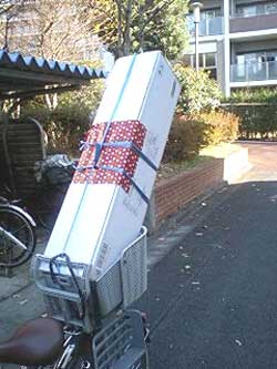 ファイバーツリー