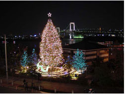 お台場メモリアルツリー2008
