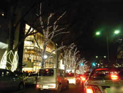 表参道イルミネーション2009