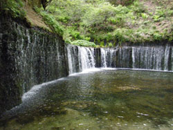 白糸の滝