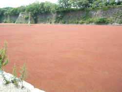 大阪城