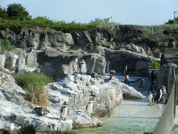 葛西臨海公園水族館<br />
