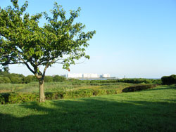 葛西臨海公園<br />
