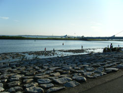 葛西臨海公園<br />
