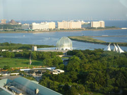 葛西臨海公園<br />
