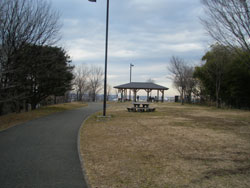 桜ケ丘公園 ゆうひの丘