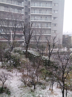 雪