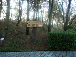 米山SA下り