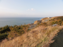 米山SA下り